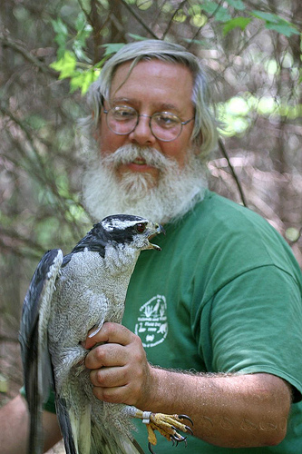  - David-Brinker-w-Northern-Goshawk